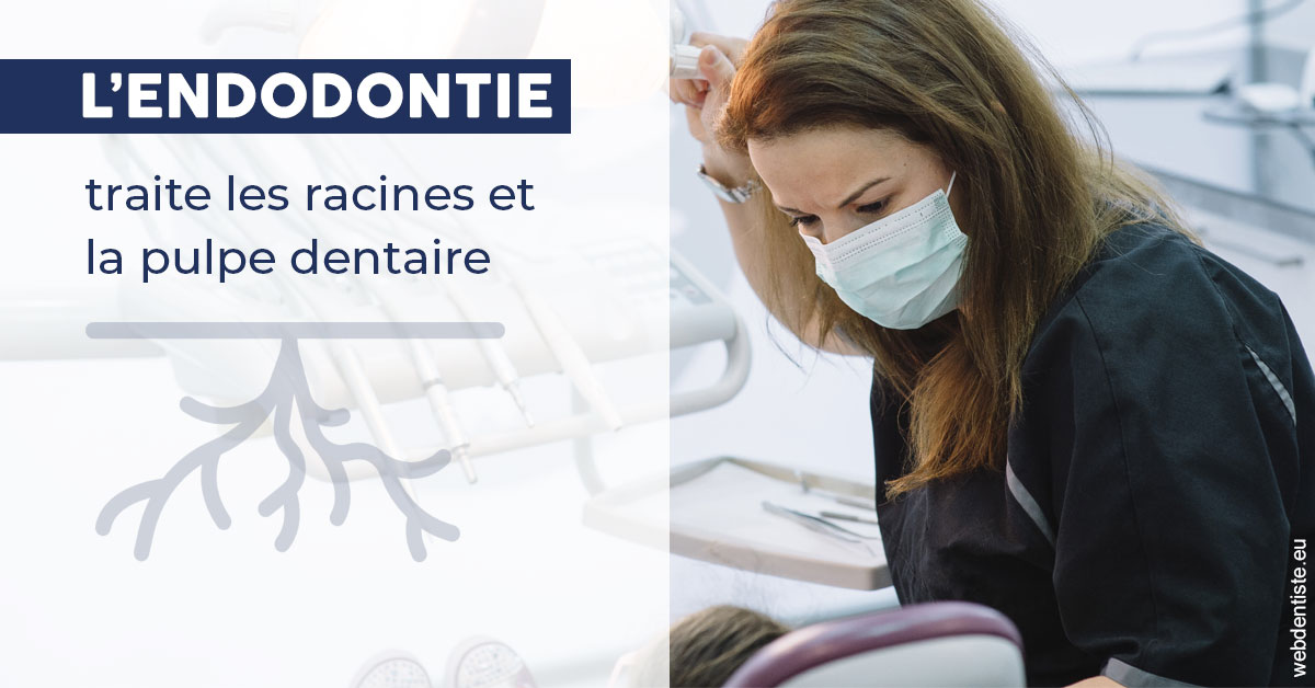 https://scp-peponnet-et-associes.chirurgiens-dentistes.fr/L'endodontie 1