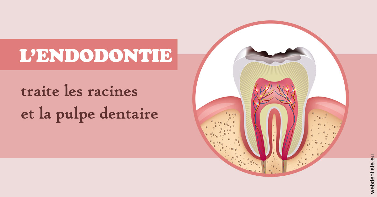 https://scp-peponnet-et-associes.chirurgiens-dentistes.fr/L'endodontie 2
